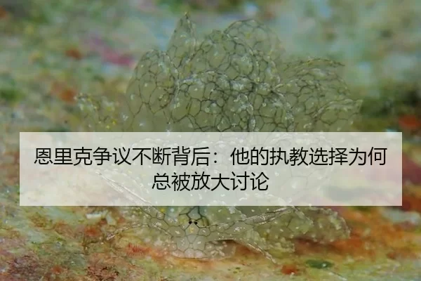 en-li-ke-zheng-yi-bu-duan-bei-hou-ta-de-zhi-jiao-xuan-ze-wei-he-zong-bei-fang-da-tao-lun-2-478.jpg